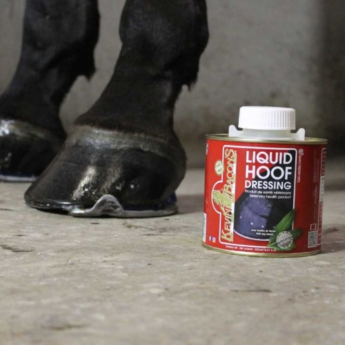 KEVIN BACON'S LIQUID HOOF DRESSING. ACEITE PARA CASCOS CON BROCHA 2