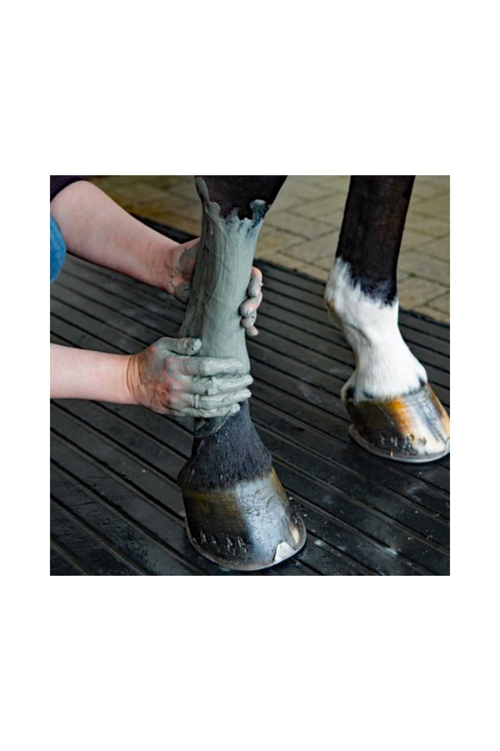 KEVIN BACON'S ARCILLA DE MANICOUAGAN 2KG