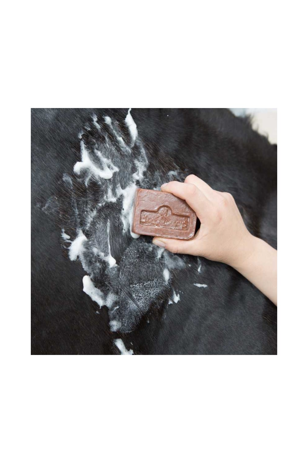 KEVIN BACON'S ACTIVE SOAP CON ESPONJA