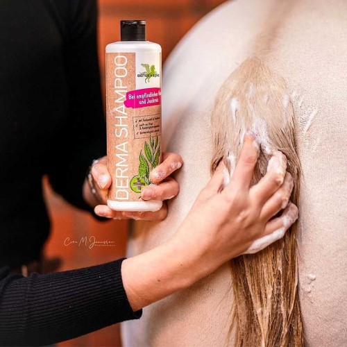 DERMA SHAMPOO CHAMPU DERMATOLÃ“GICO BENSE & EICKE 2