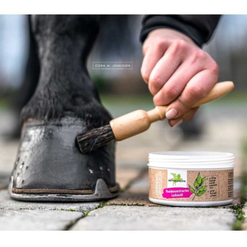 ACEITE DE LAUREL CONCENTRADO LORBEERÃ–L EXPRESSUM BENSE & EICKE 2