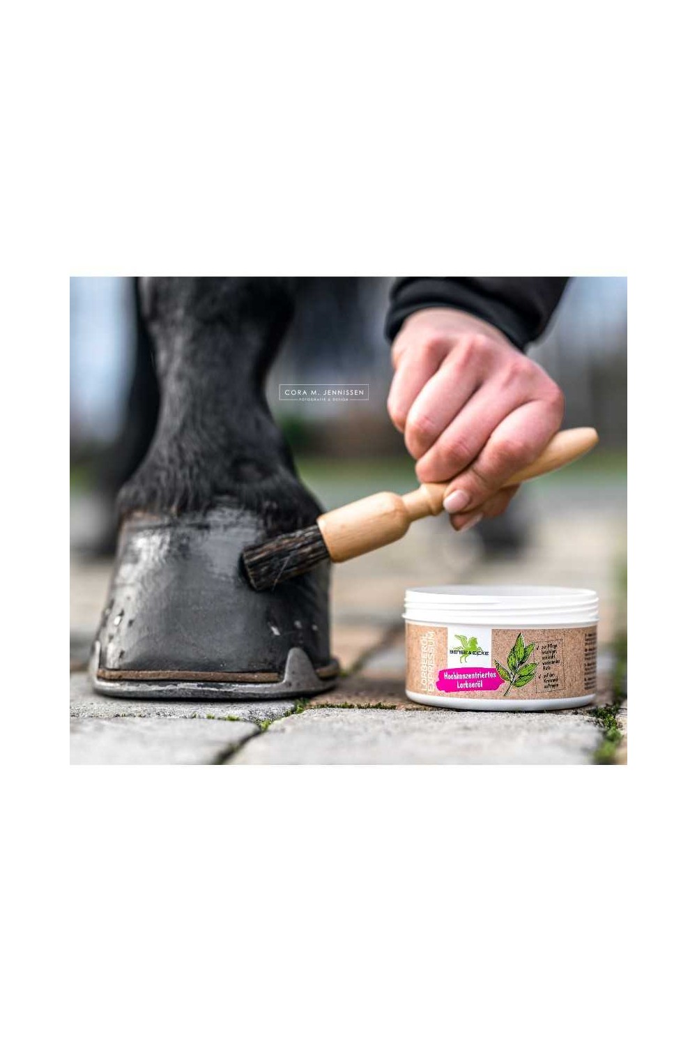 ACEITE DE LAUREL CONCENTRADO LORBEERÃ–L EXPRESSUM BENSE & EICKE