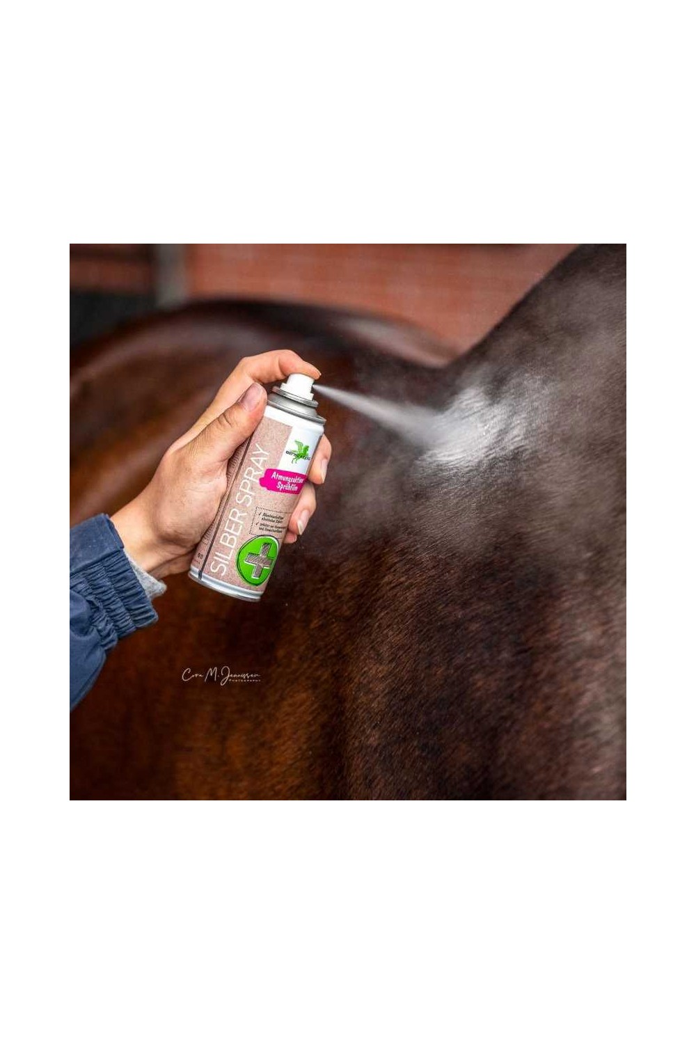 SILVER SPRAY BENSE & EICKE