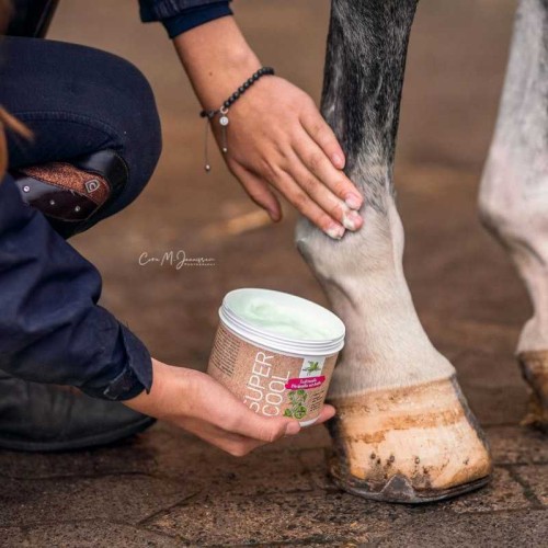 SUPER-COOL GEL DE TENDONES BENSE & EICKE 2