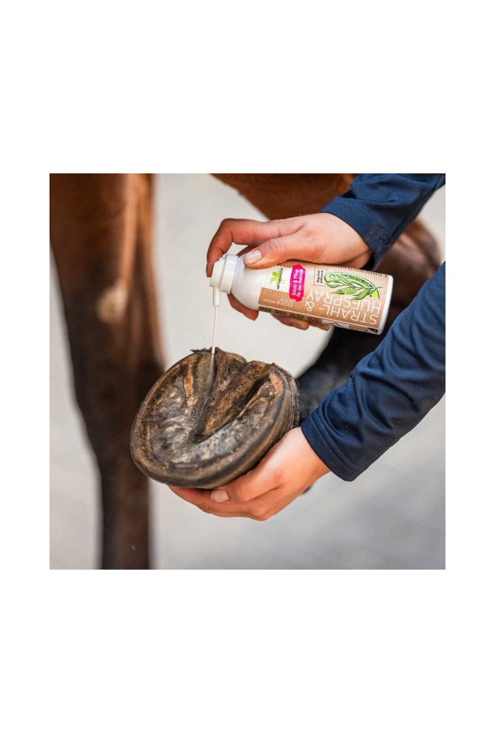 HIGIENIZADOR DE RANILLA (STRAHL-& HUFSPRAY) BENSE & EICKE