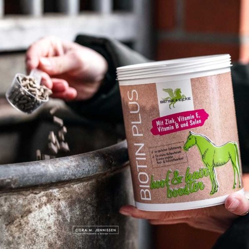 BIOTIN PLUS BENSE & EICKE 2