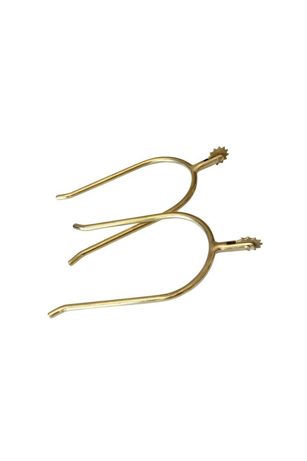 ESPUELÃN PORTUGUÃ‰S DORADO GALLO CORTO CON ESTRELLA