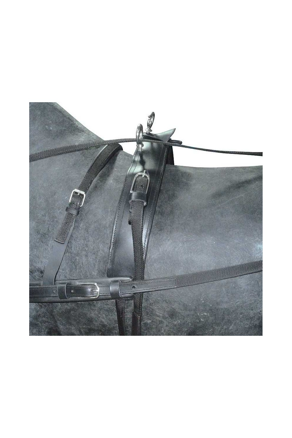 ENGANCHE CON PECHOPETRAL PARA UN CABALLO NYLON Y CUERO ECONÃ“MICO