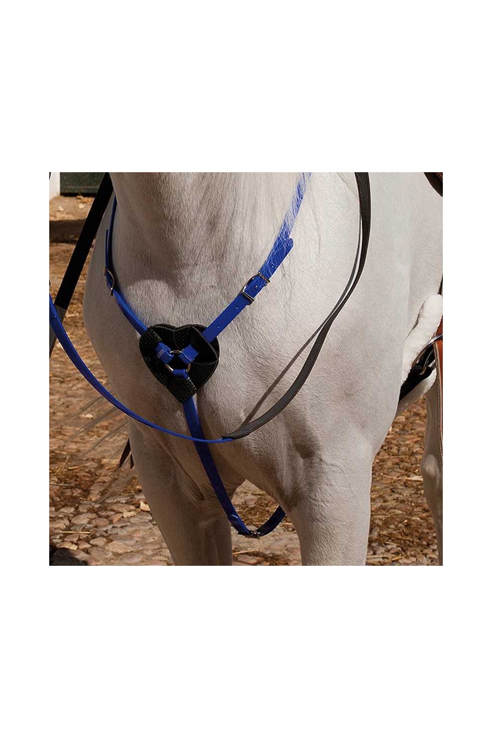 PECHOPETRAL MARJOMAN DE BIOTANE PARA RAID