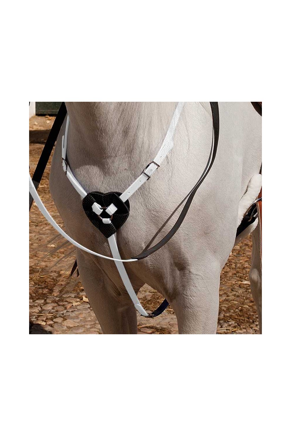 PECHOPETRAL MARJOMAN DE BIOTANE PARA RAID