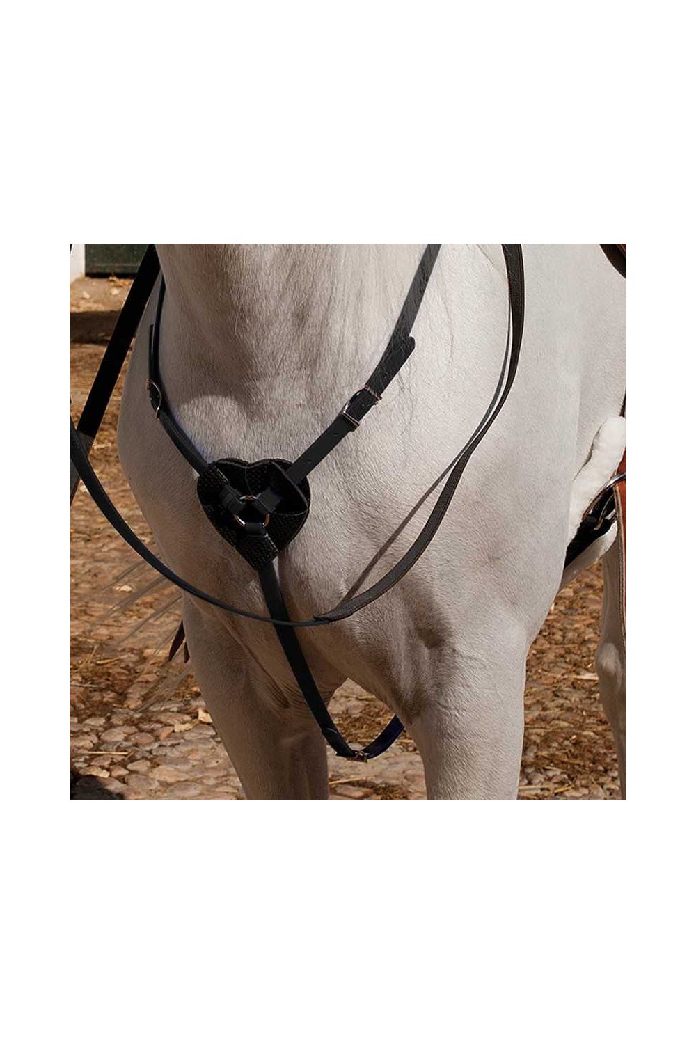 PECHOPETRAL MARJOMAN DE BIOTANE PARA RAID