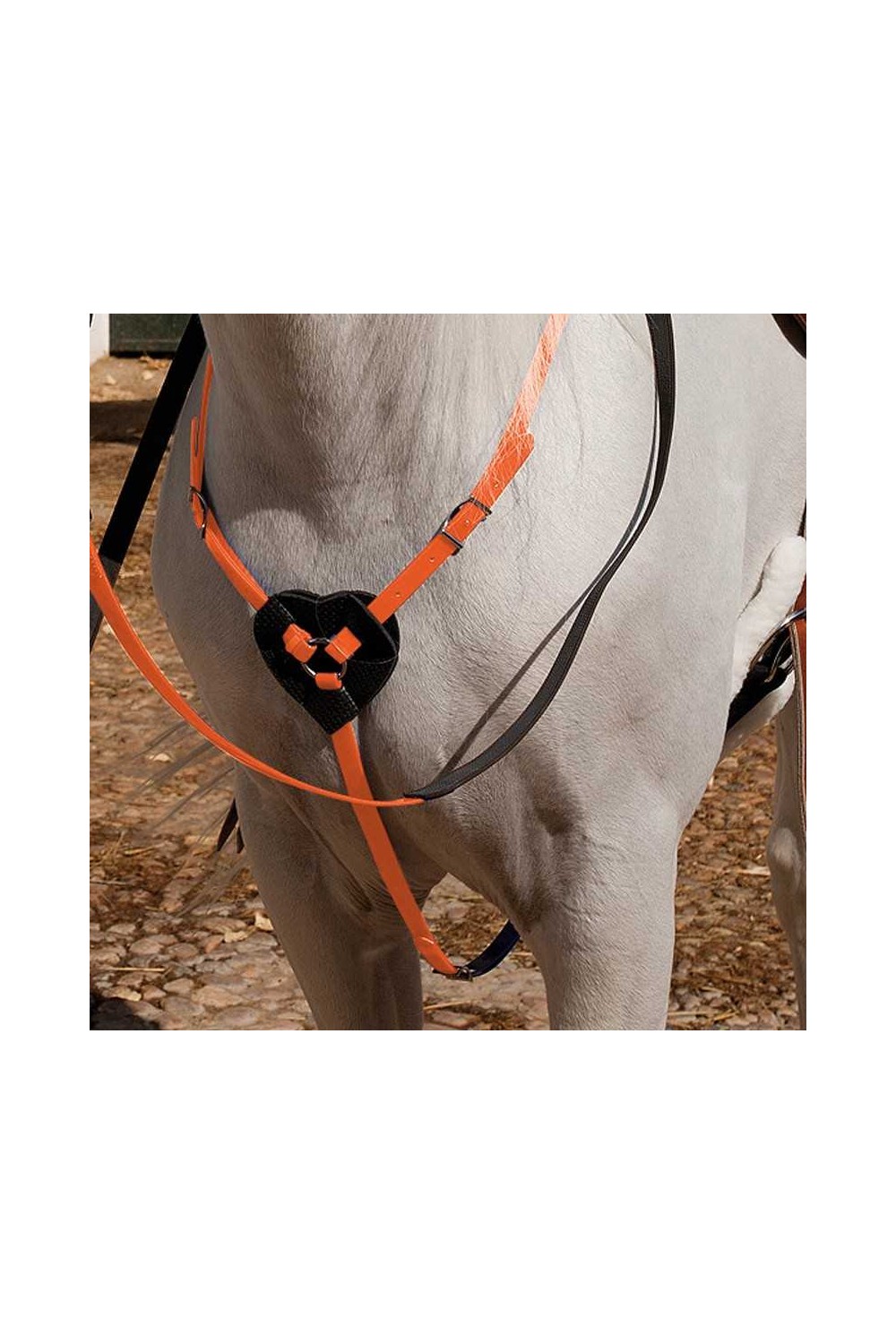 PECHOPETRAL MARJOMAN DE BIOTANE PARA RAID