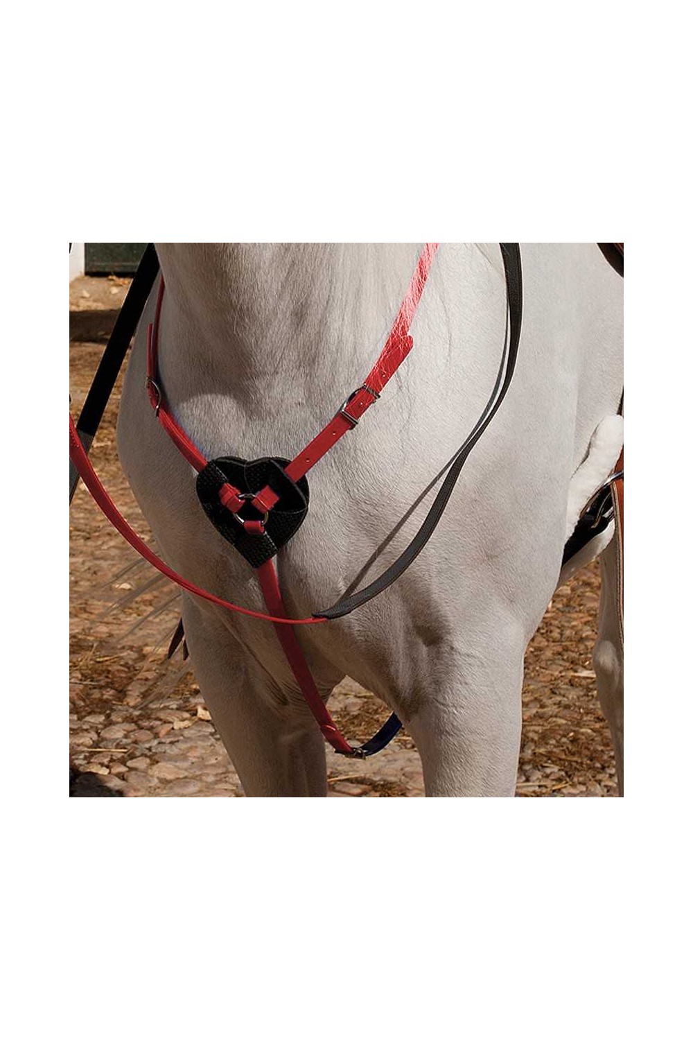 PECHOPETRAL MARJOMAN DE BIOTANE PARA RAID