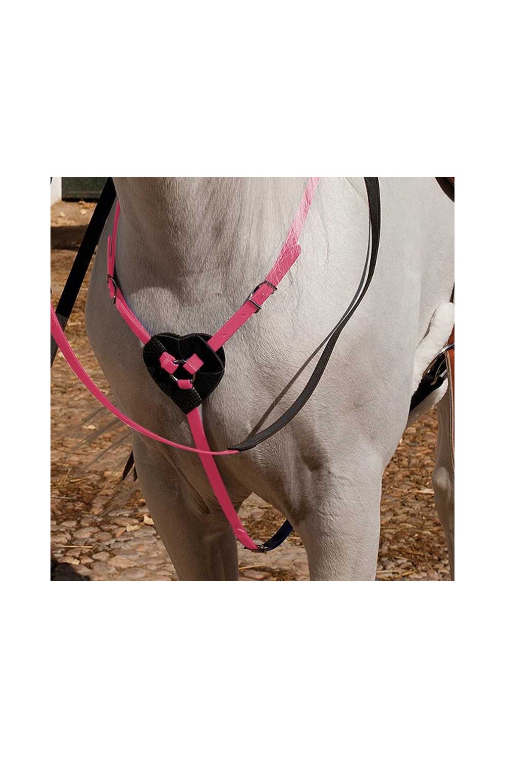 PECHOPETRAL MARJOMAN DE BIOTANE PARA RAID