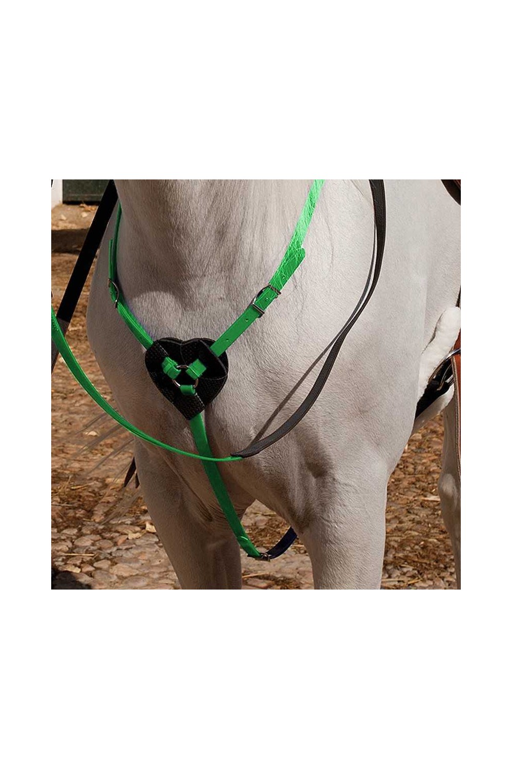 PECHOPETRAL MARJOMAN DE BIOTANE PARA RAID