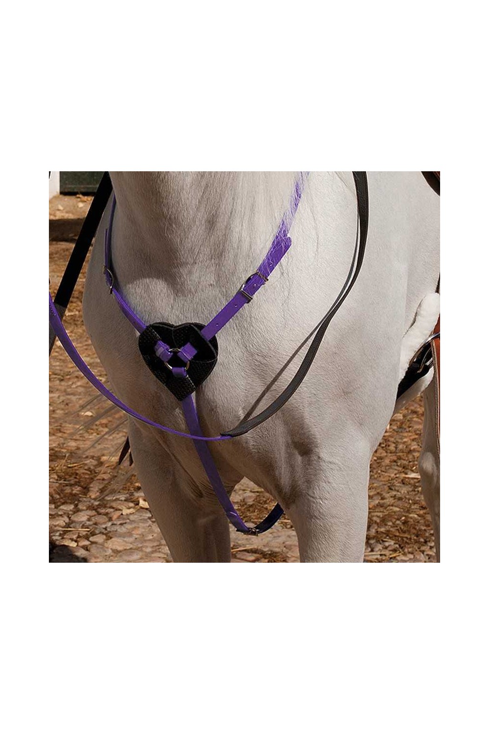 PECHOPETRAL MARJOMAN DE BIOTANE PARA RAID