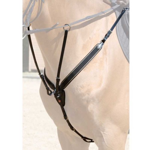 PECHOPETRAL KIEFFER ARLENE 2