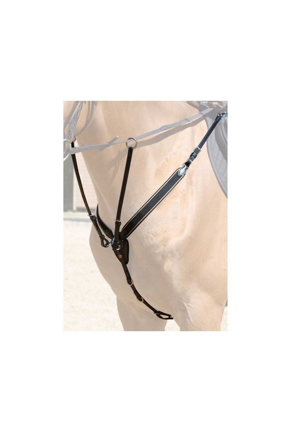 PECHOPETRAL KIEFFER ARLENE