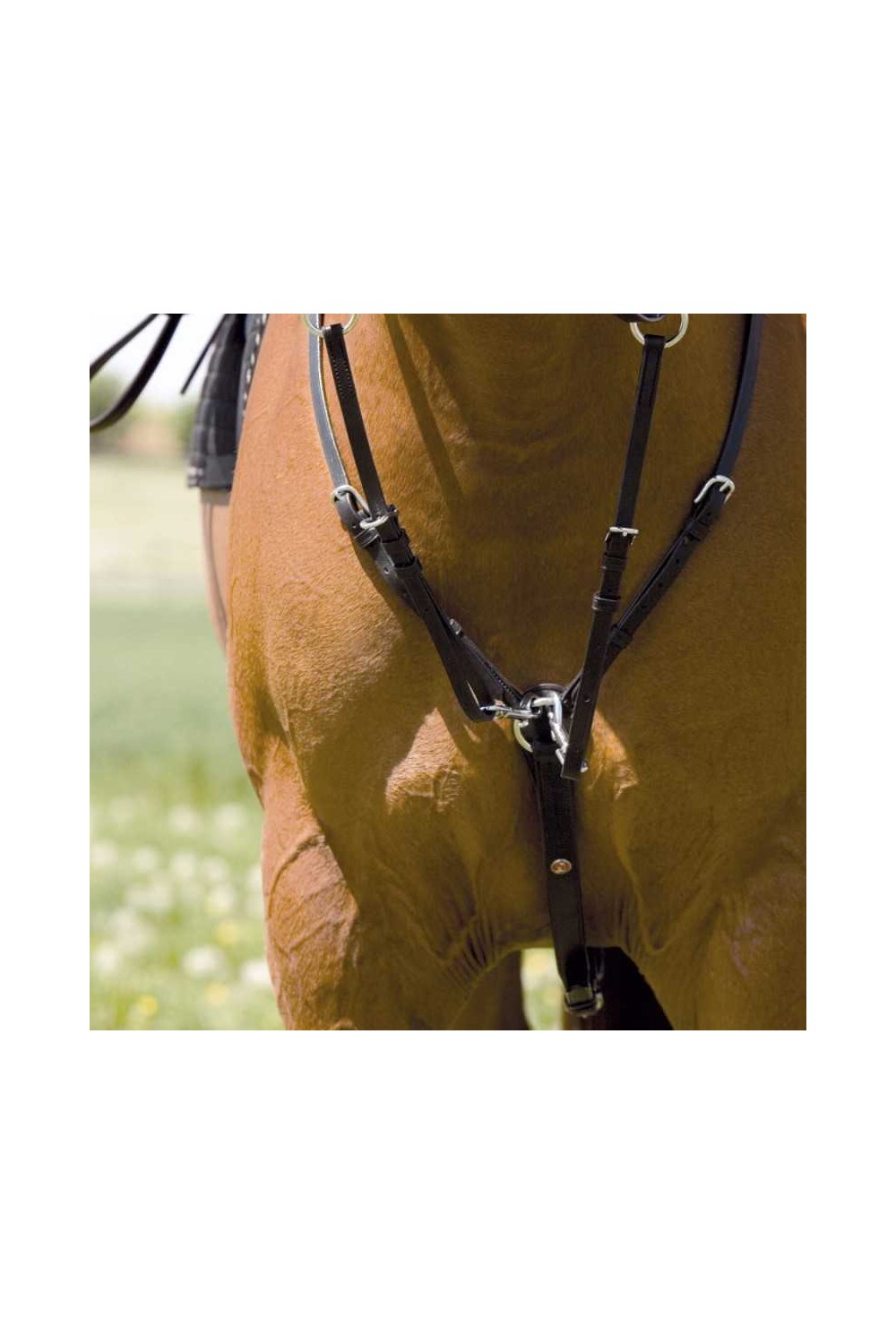 Pechopetral Kieffer Profi de cuero con tijerilla