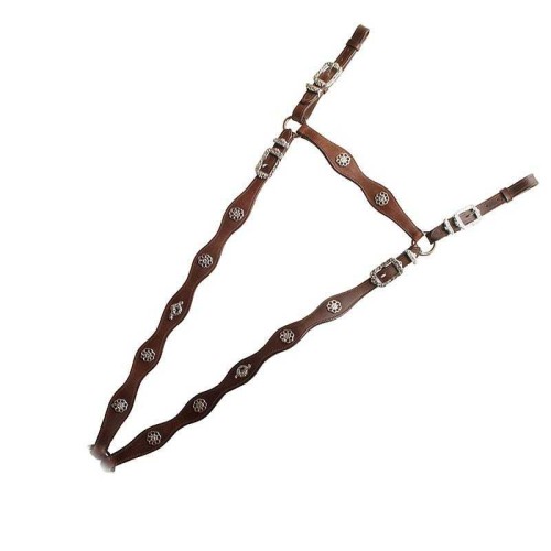 PECHOPETRAL DE CORTESÃA ECONÃ“MICO 2