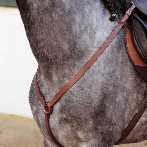 Pechopetral Marjoman inglÃ©s de Y hebilla inox 2