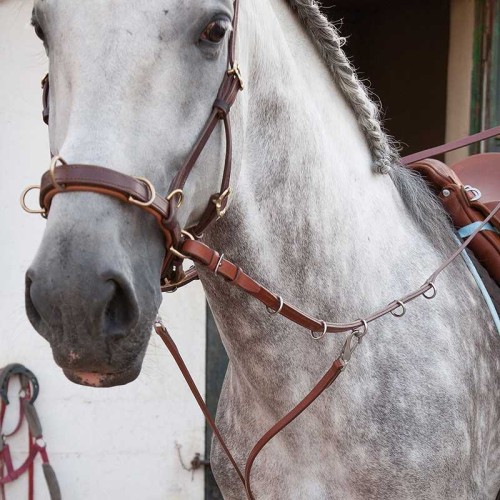 RIENDAS LEVELING EQUILIBRIO MARJOMAN 2