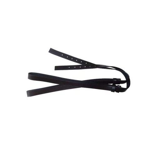 ACIONES VAQUERAS ECONÃ“MICAS 2