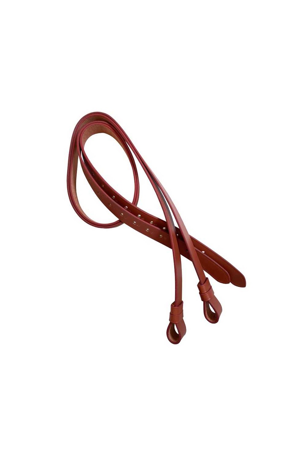 ACIONES VAQUERAS ECONÃ“MICAS