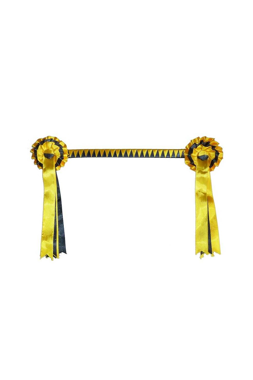 FRONTALERA DE PRESENTACIÃ“N ECONÃ“MICA CON CUCARDAS