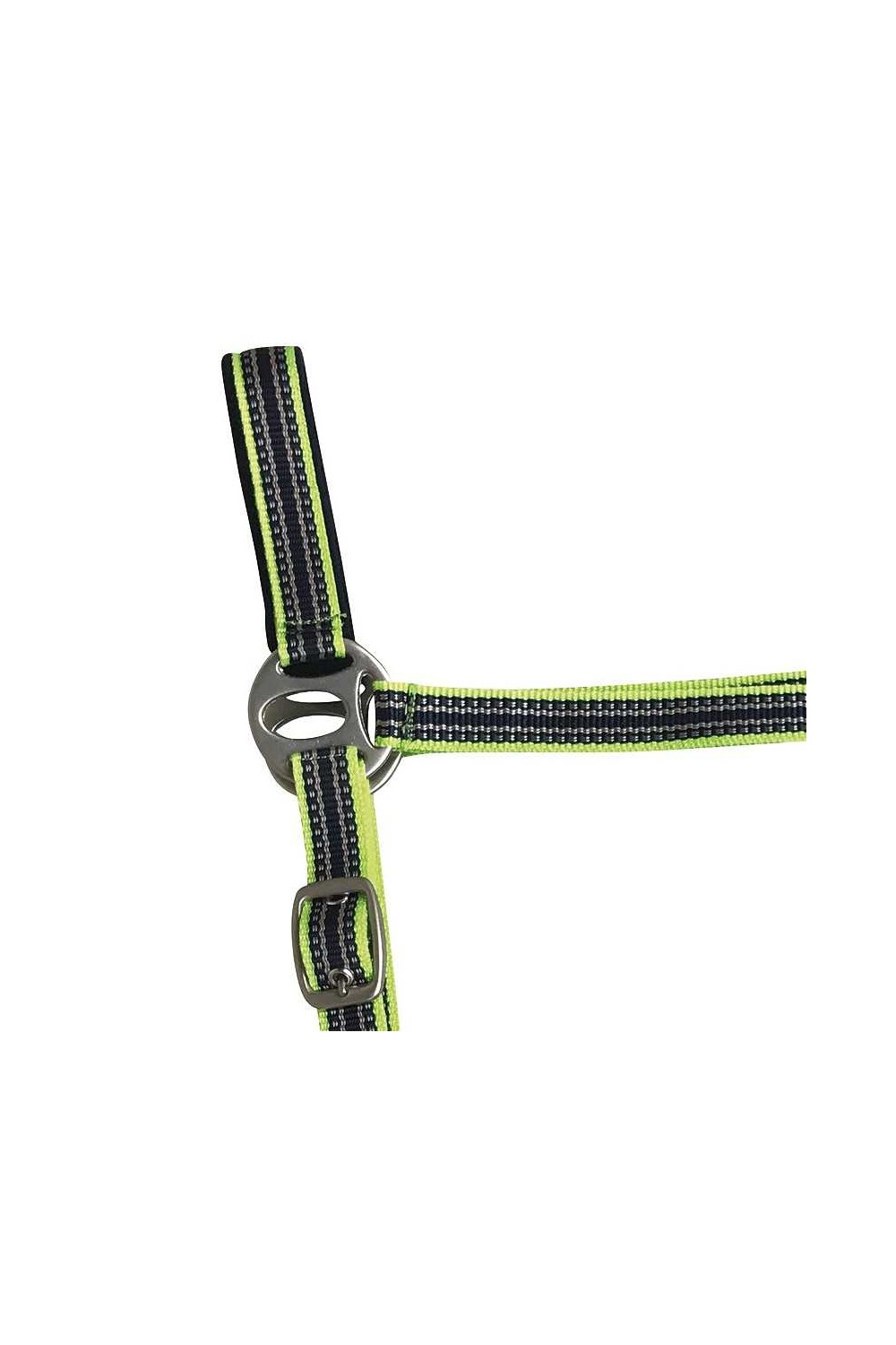 CABEZADA DE NYLON CON RAMAL COLORES NEÃ“N