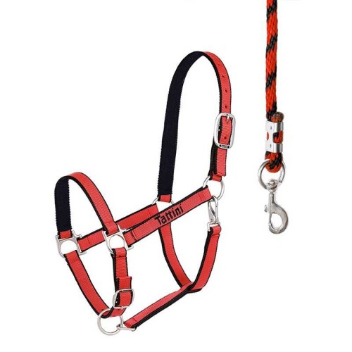 CABEZADA TATTINI CON ACOLCHADO 2