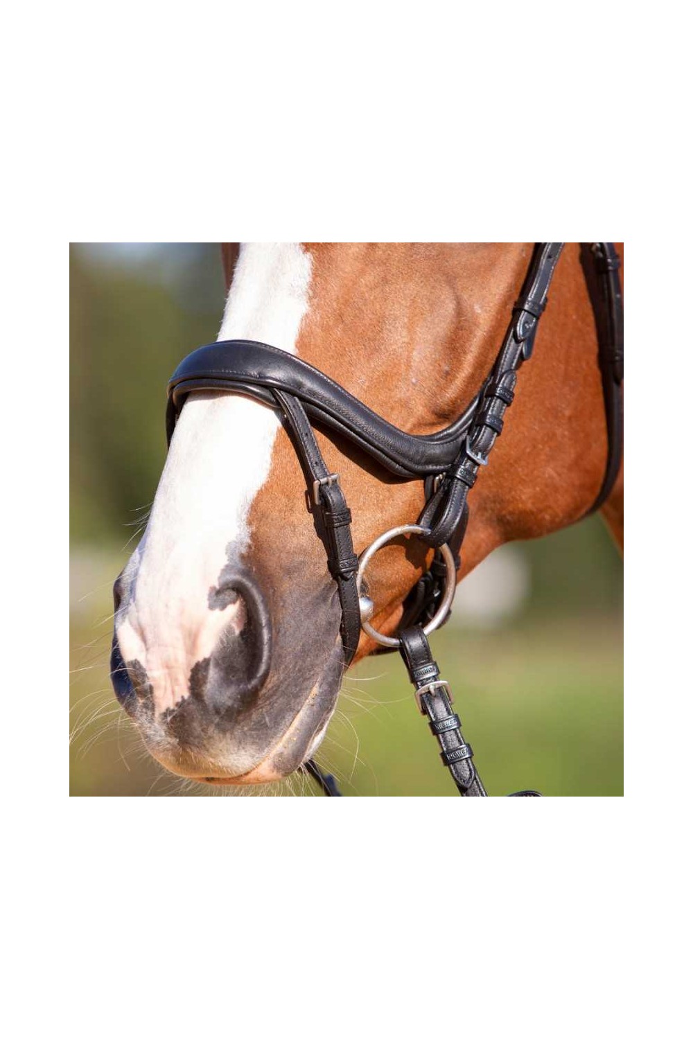 Cabezada para filete Kieffer Ultrasoft Amy