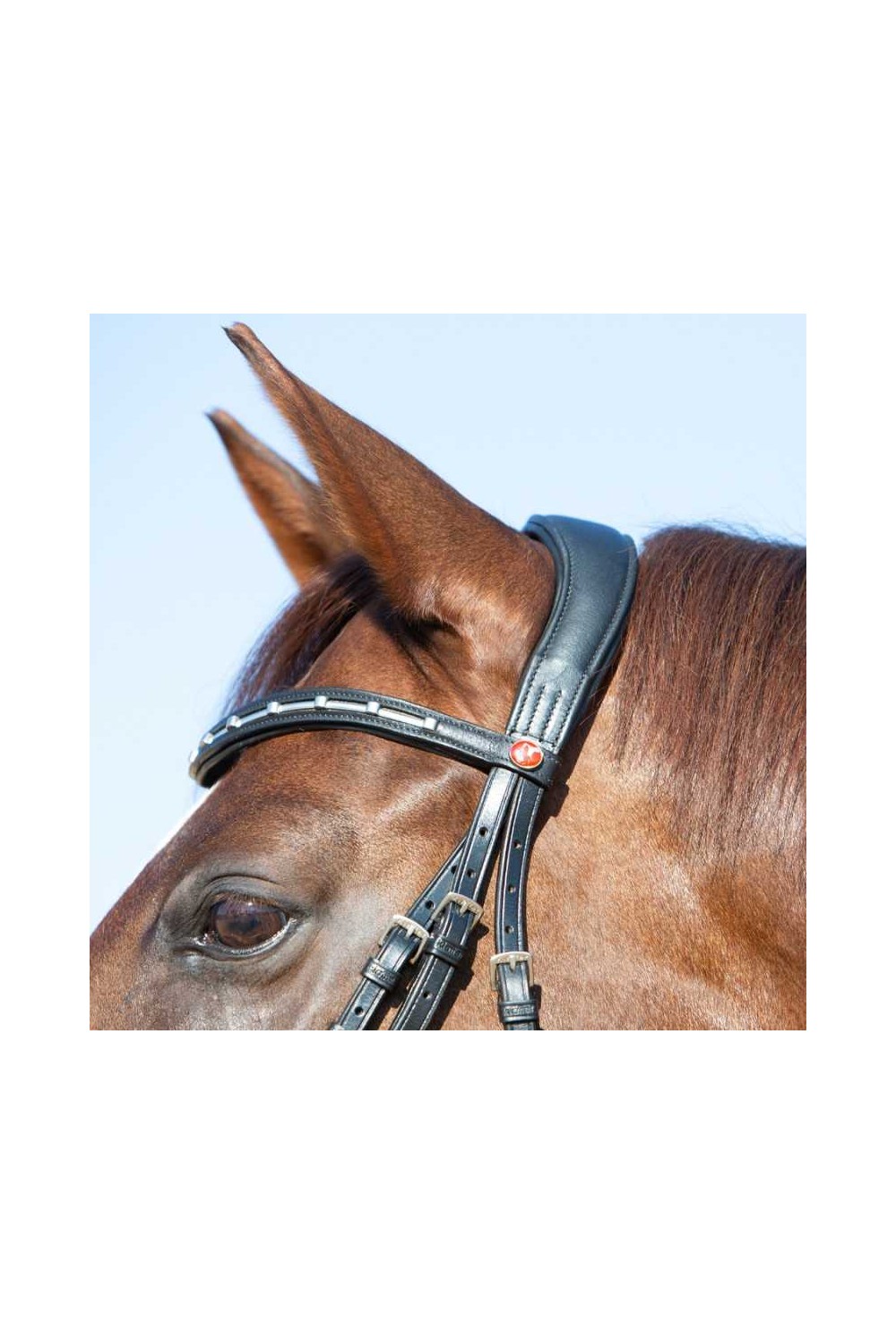 Cabezada para filete Kieffer Ultrasoft Economy II