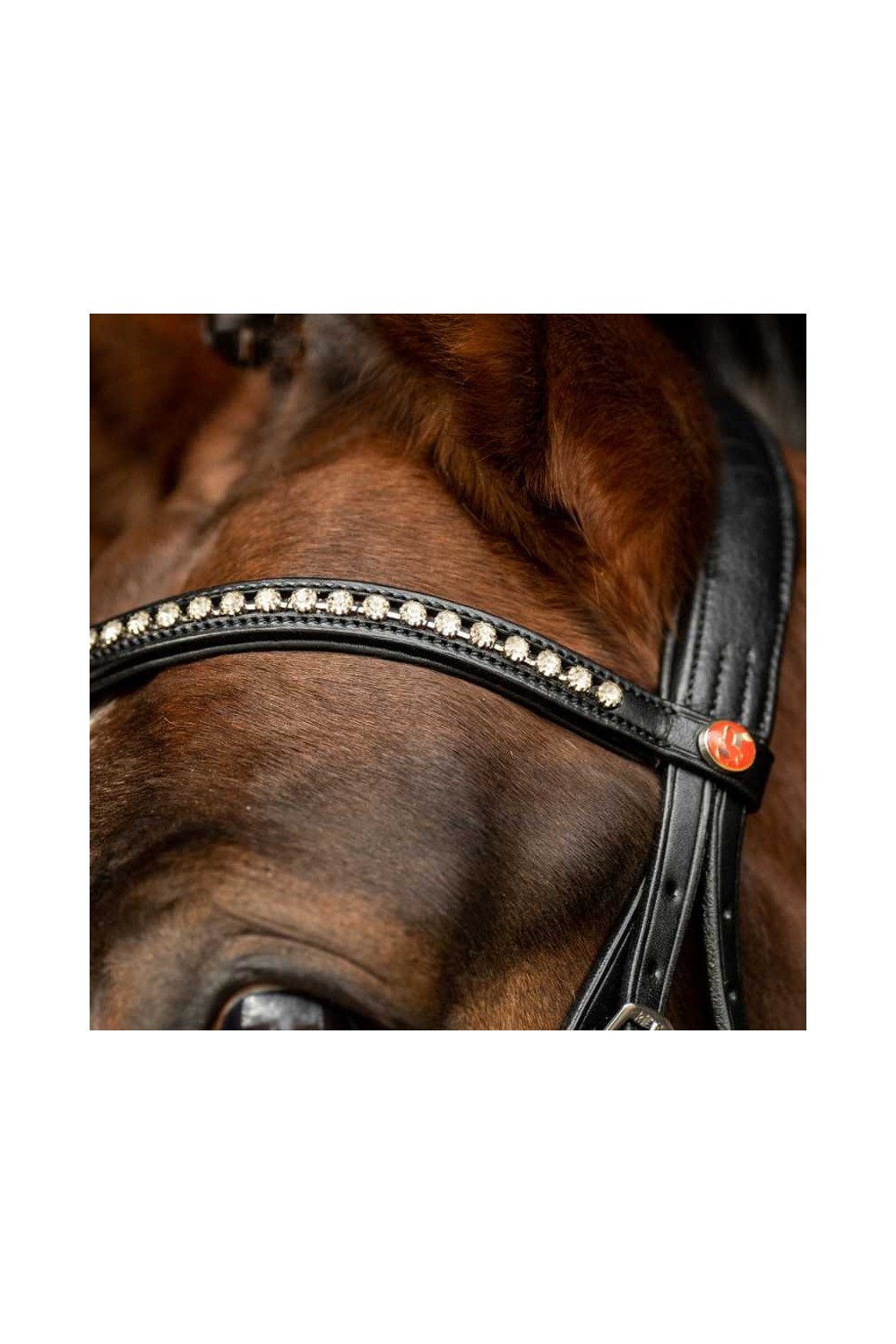 Cabezada para filete Kieffer Ultrasoft Sue