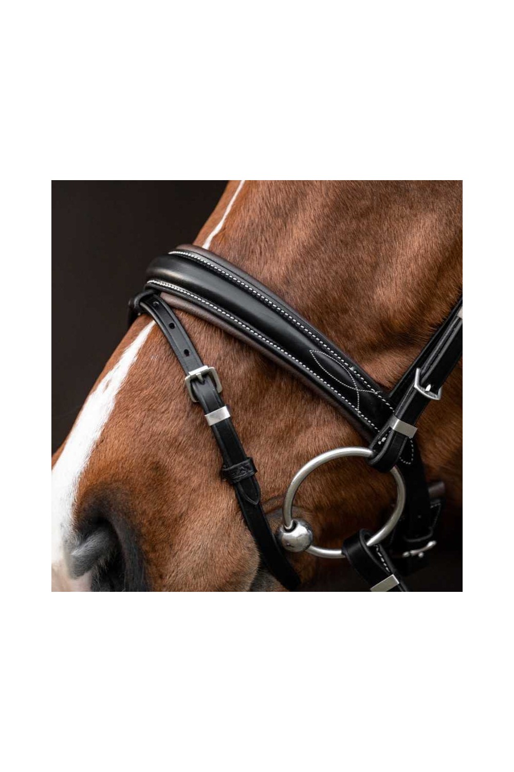 Cabezada Kieffer para filete Vera