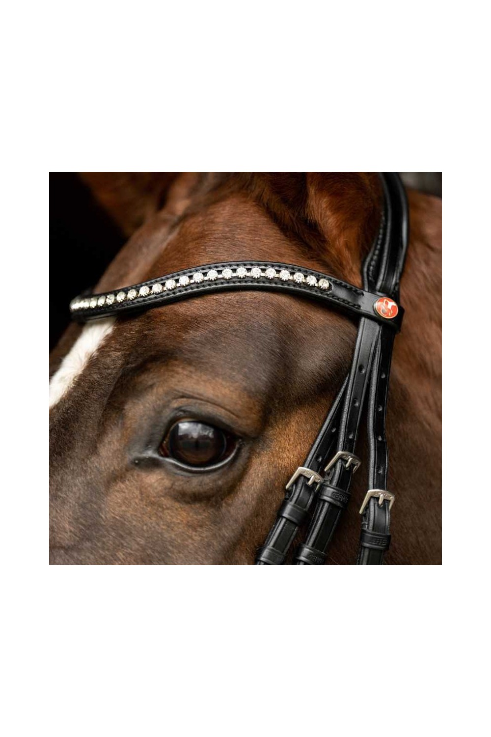 Cabezada Kieffer para filete Comfort Lyon