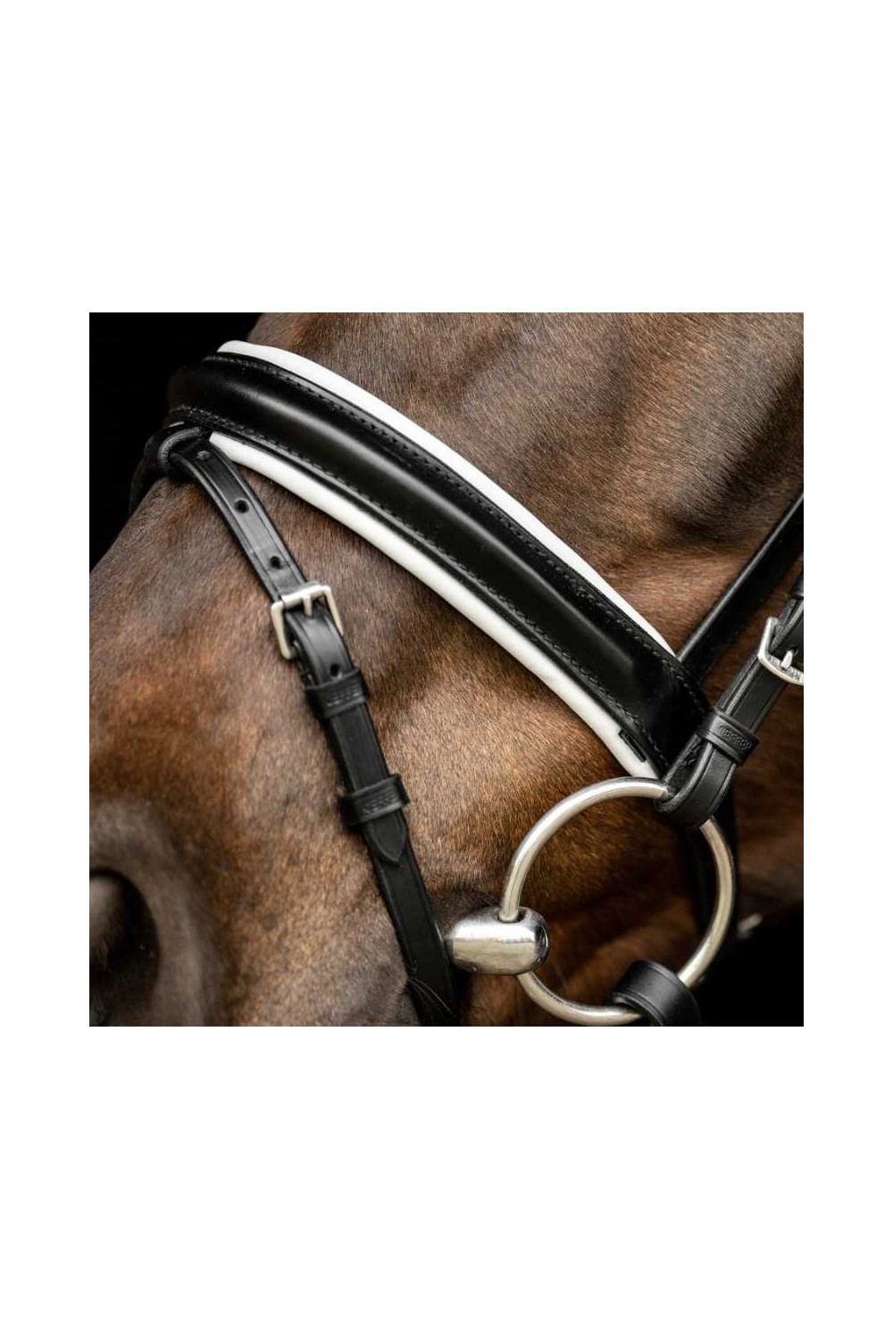 Cabezada Kieffer para filete Comfort Lyon