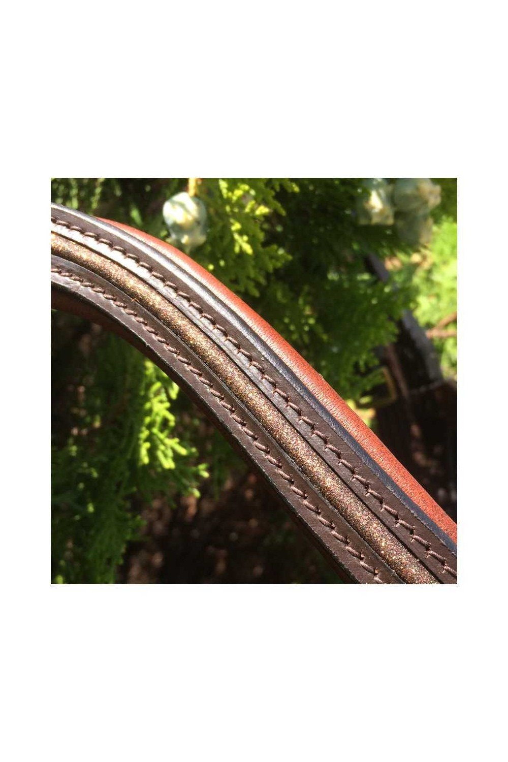 CABEZADA PARA FILETE OMEGA LINE CON GLITTER BRILLO