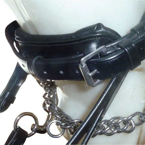 CABEZADA DE CUERO INGLÃ‰S DE DOBLE RIENDA 2