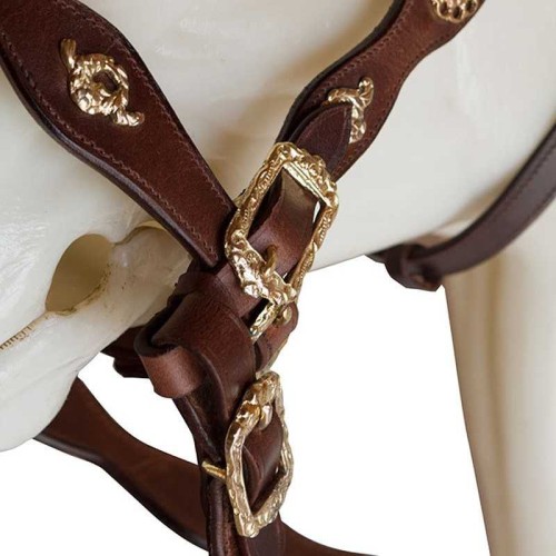 CABEZADA ECONÃ“MICA CORTESIA UNA RIENDA 2