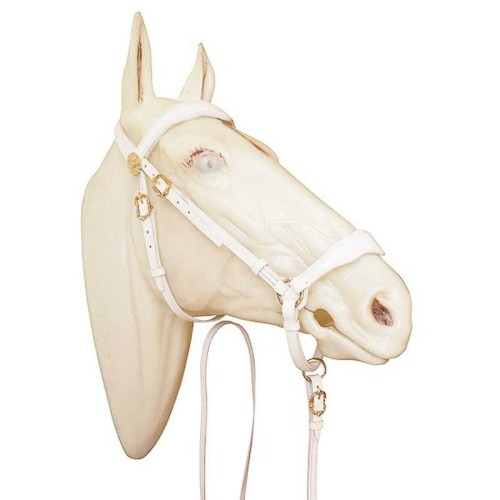 CABEZADA MARJOMAN MODELO PORTUGUÃ‰S DE PRESENTACIÃ“N 2