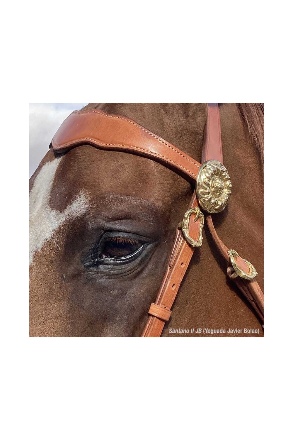 CABEZADA MARJOMAN MODELO PORTUGUÃ‰S DE PRESENTACIÃ“N