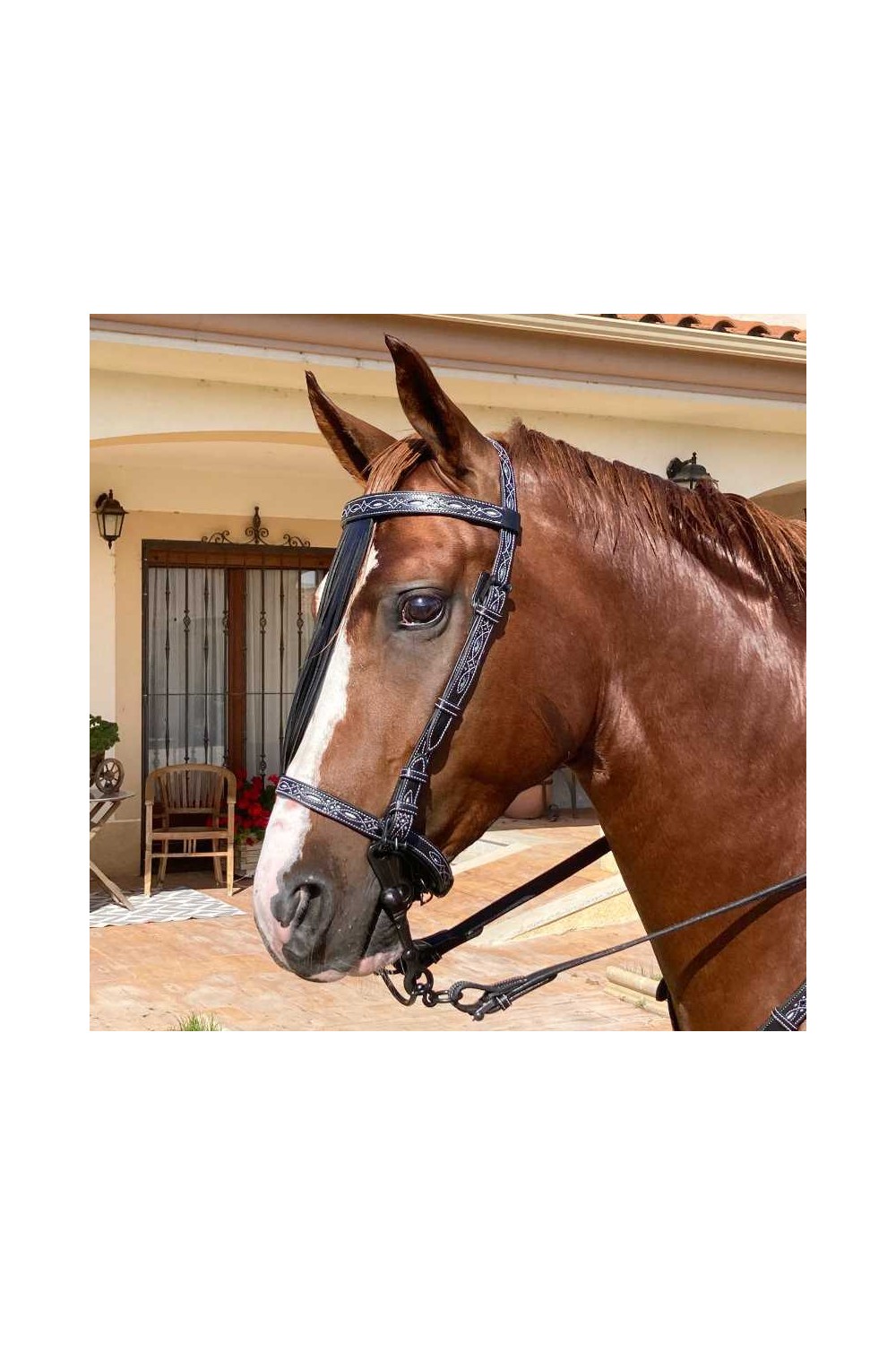 CABEZADA MARJOMAN ESPAÃ‘OLA REPUJADA CON RIENDAS