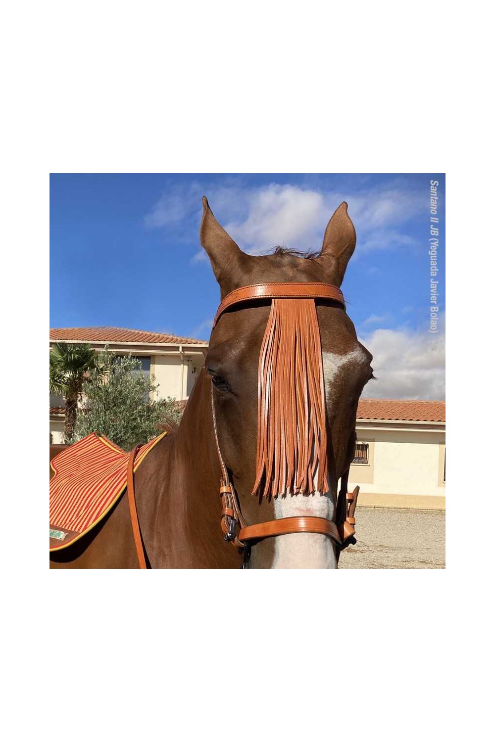 CABEZADA MARJOMAN ESPAÃ‘OLA CON RIENDAS COSIDA A MÃQUINA