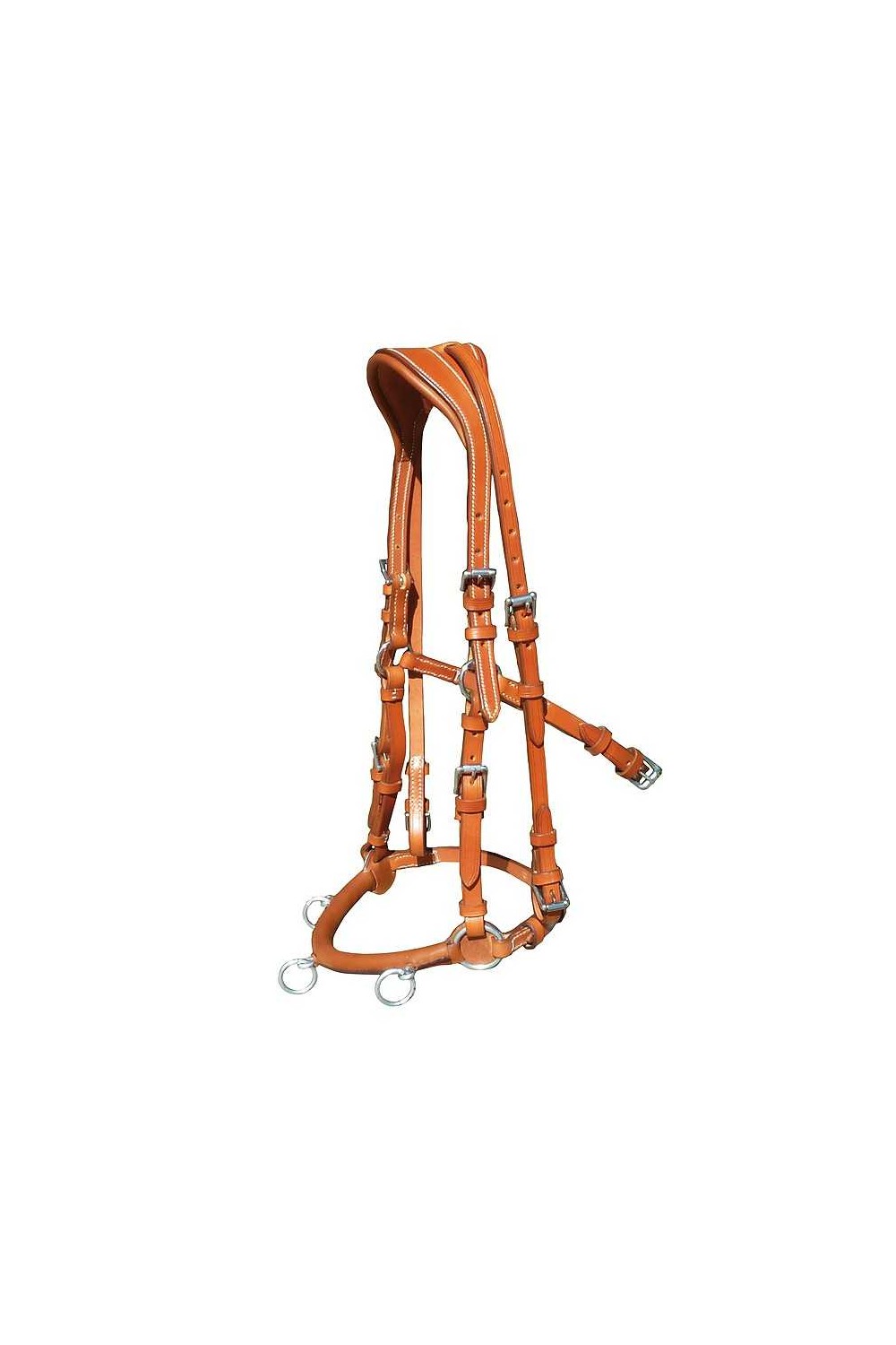 CABEZADA CAROLINA CON MONTANTE