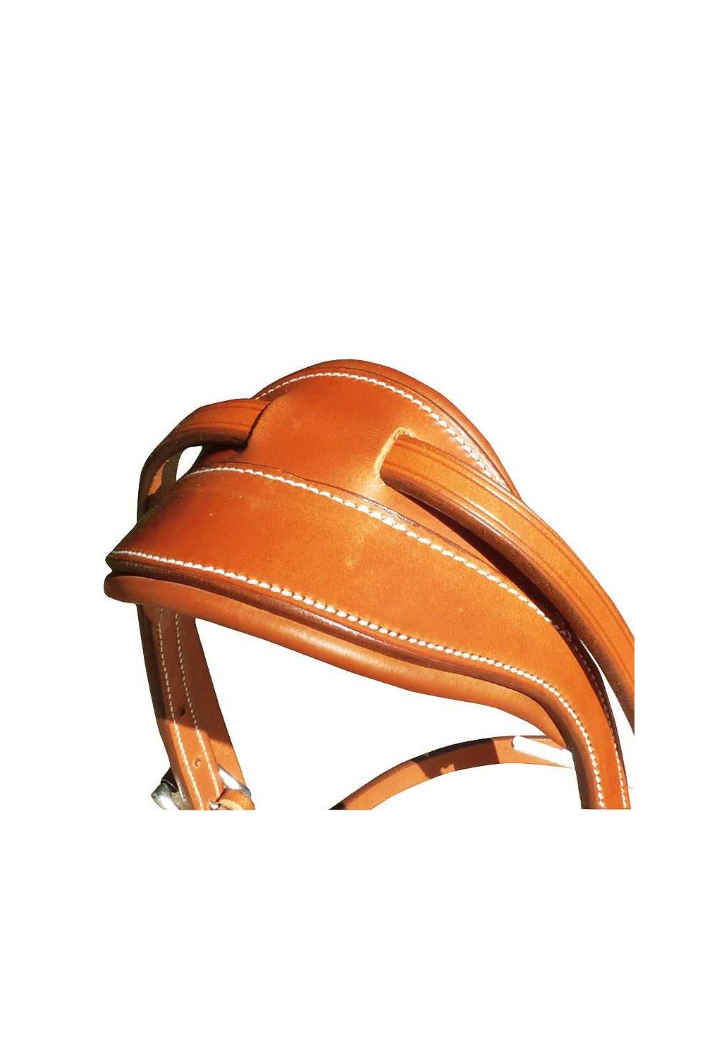 CABEZADA CAROLINA CON MONTANTE