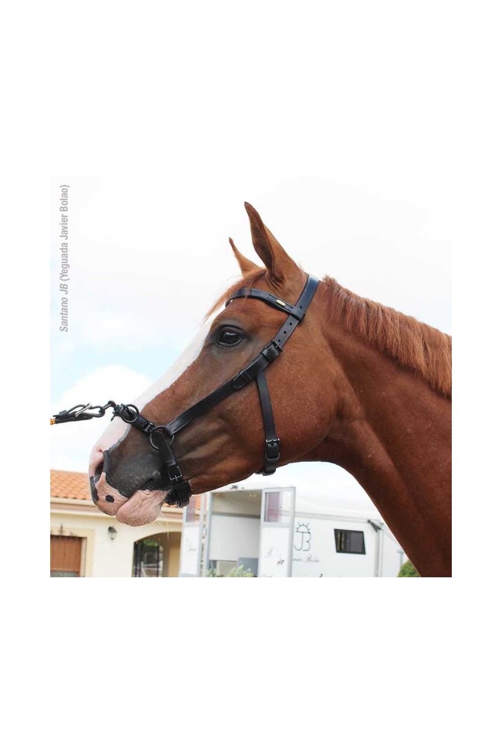 CABEZADA MARJOMAN DE DOMA CON SERRETÃ“N DE 3 PILARES Y ANILLA LATERAL