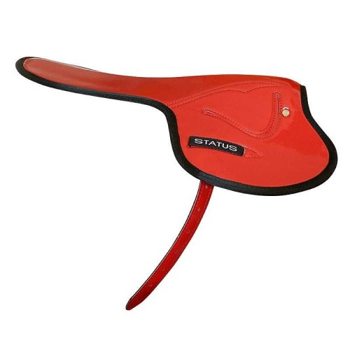 SILLA STATUS DE CARRERAS 2