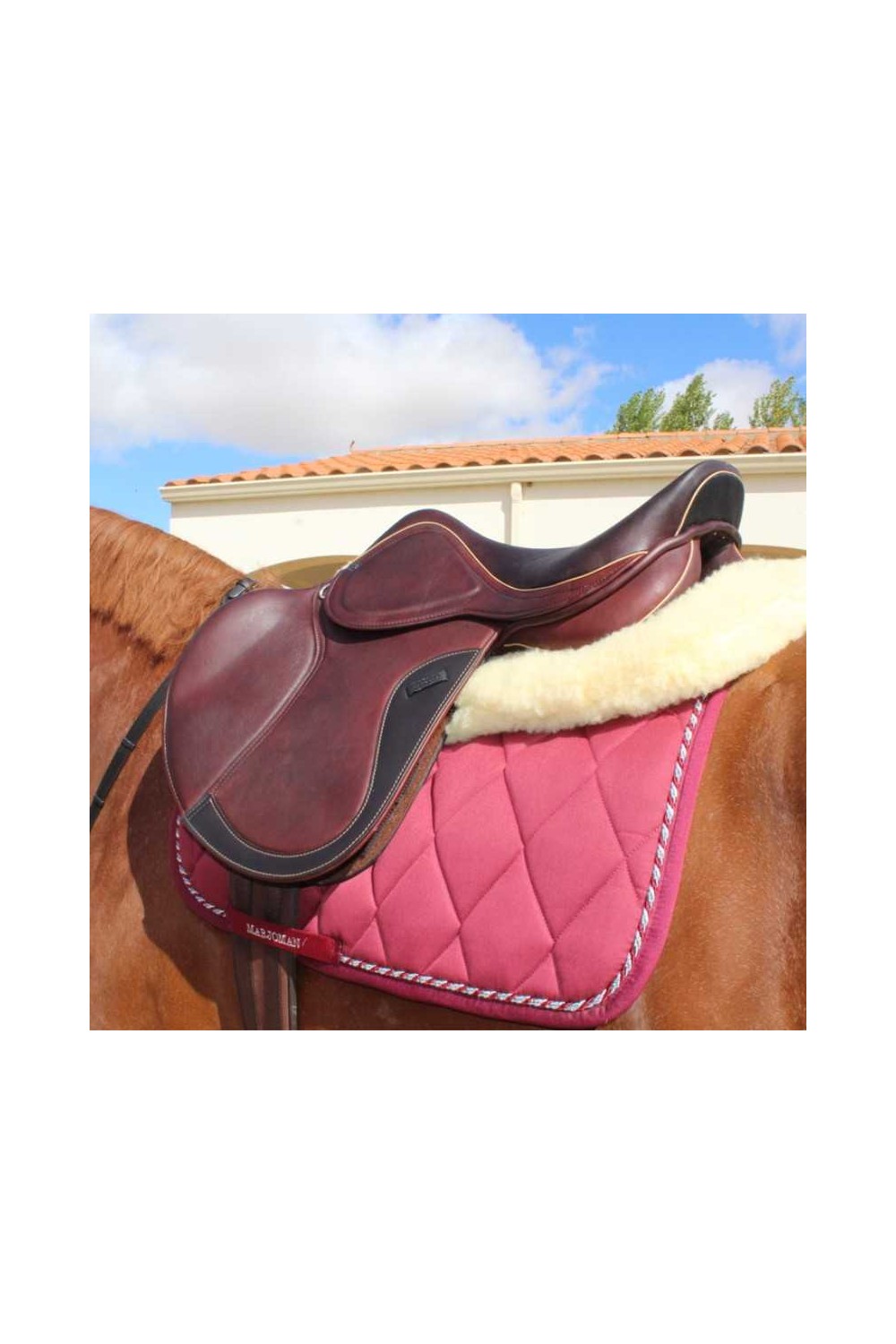 SILLA SALTO OMEGA LINE CUERO DOBLE CON PUENTES INTERCAMBIABLES