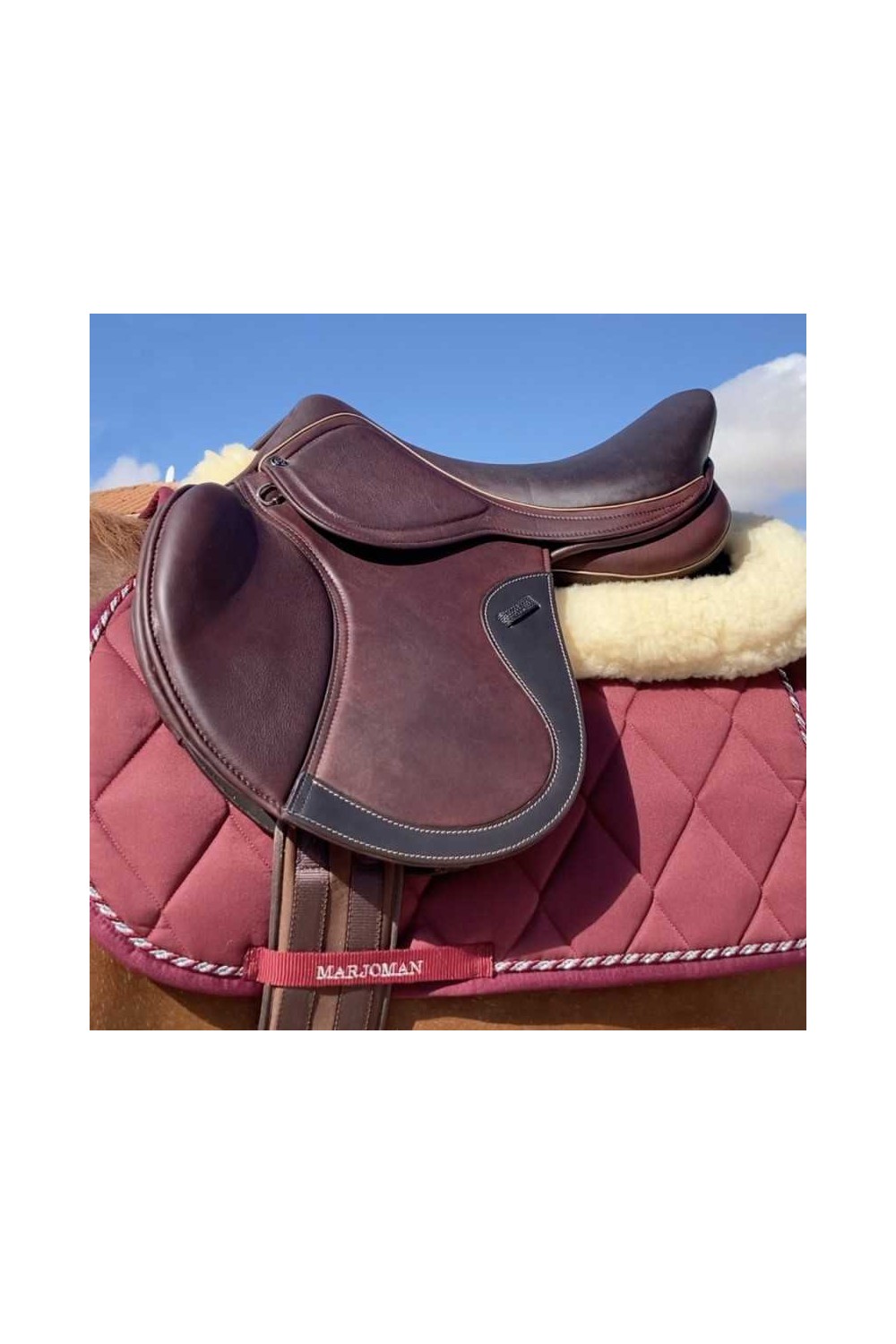 SILLA SALTO OMEGA LINE CUERO DOBLE CON PUENTES INTERCAMBIABLES